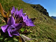 Laghi e Monte Ponteranica- Monte Avaro dai Piani (30ag21) - FOTOGALLERY